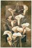 Linda Thompson art print