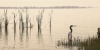 C.J Groth art print