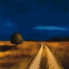 Tandi Venter art print