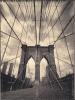 Tom Baril art print