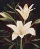 Yvette St. Amant art print