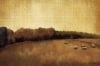 Tandi Venter art print