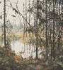 Tom Thomson art print