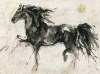Marta Gottfried art print