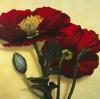Rachel Deacon art print