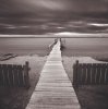 David Fokos art print