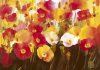 Ann Neate art print
