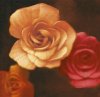 Brent Young art print