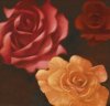 Brent Young art print