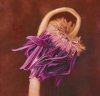 Kate Breakey art print