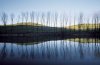 Franco Fontana art print
