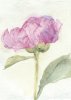 Matyia Ross art print