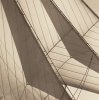 Michael Kahn art print