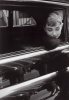 Dennis Stock art print