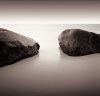 David Fokos art print