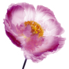 Ian Winstanley art print
