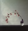 Robert Mapplethorpe art print