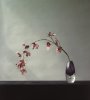 Robert Mapplethorpe art print