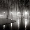 Bill Schwab art print