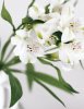 Caroline Purday art print