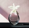 Robert Mapplethorpe art print