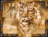 Annrika McCavitt art print