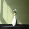Robert Mapplethorpe art print