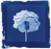 David Chow art print