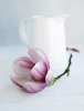 Am�lie Vuillon art print