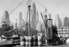 Todd Webb art print