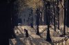 Ernst Haas art print
