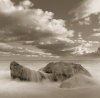 Michael Kahn art print