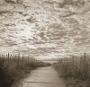 Michael Kahn art print
