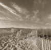 Michael Kahn art print