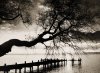 Harald Thiessen art print