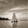Michael Kahn art print