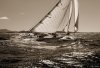 Cory Silken art print