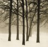 Paul Kozal art print
