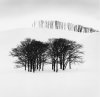 Michael Kenna art print