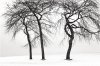 Jay Wesler art print