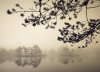 Jan Tove art print