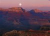 David Muench art print