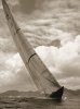 Michael Kahn art print