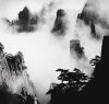 Wang Wusheng art print