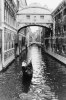 Cyndi Schick art print