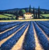 David Short art print