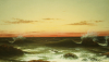 Martin Johnson Heade art print