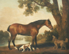 George Stubbs art print