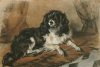 Sir Edwin Henry  Landseer art print