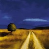 Tandi Venter art print